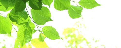 �l�b�g�X�N�E�F�A �N��� �r���͂����̔��T�C�g��